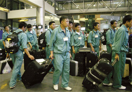Tiếp nhận trở lại lao động Việt Nam trong lĩnh vực khán hộ công và thuyền viên tàu cá gần bờ ảnh 1